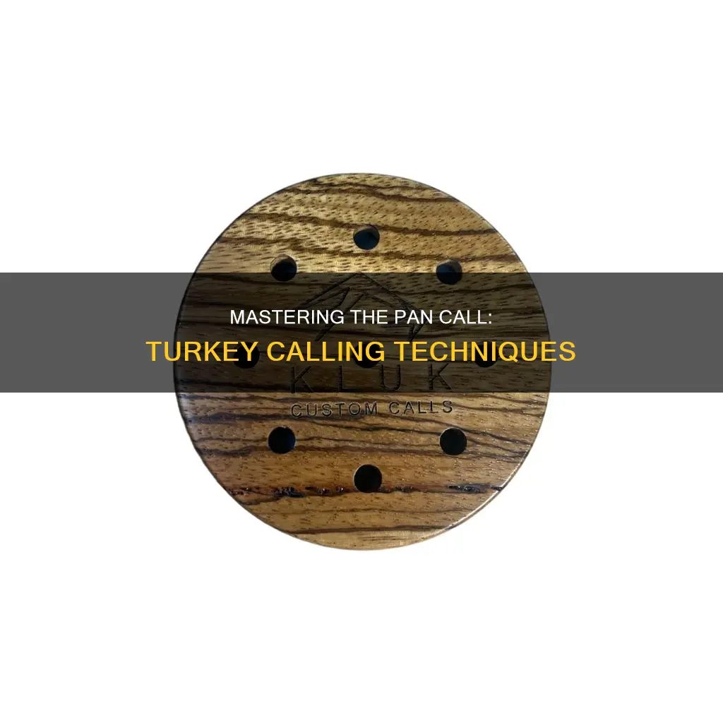 how to call turkeys with pan call