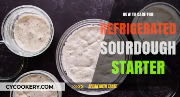 Mastering Refrigerated Sourdough Starter Care: Tips for Healthy Baking