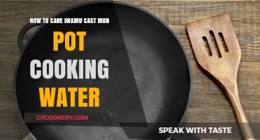 Caring for Your Iwachu Cast Iron Pot