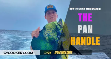 Catching Mahi Mahi in the Pan Handle: A Guide