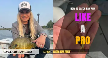Catching Panfish Like Pros: Easy Tips and Tricks