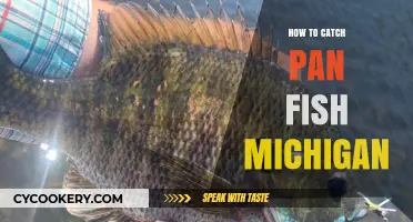 Catching Panfish in Michigan: A Beginner's Guide