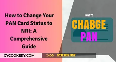 Switching Pans: A Guide to Changing Your PAN Card Details