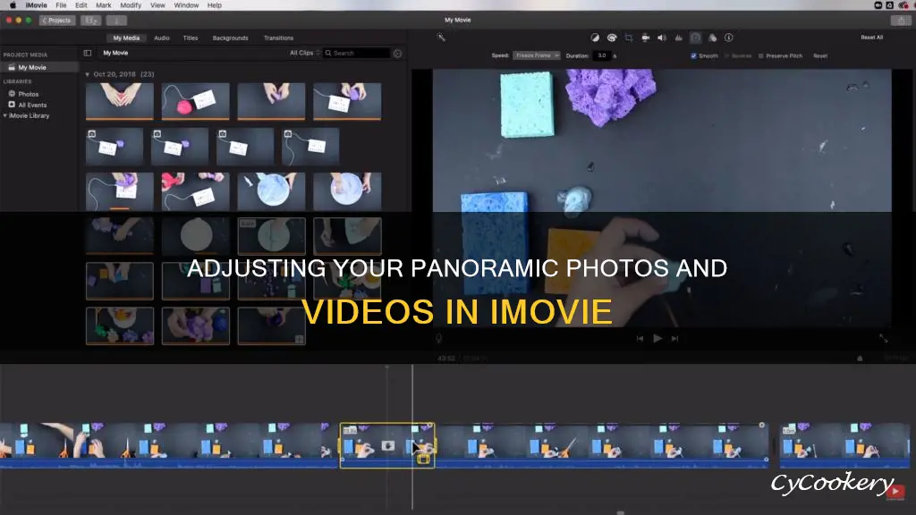 how to chage the pan on a photo imovie