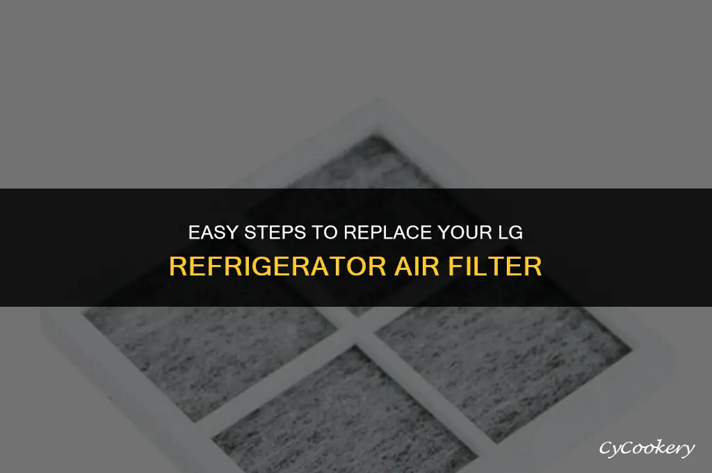 how to change a lg refrigerator air filter