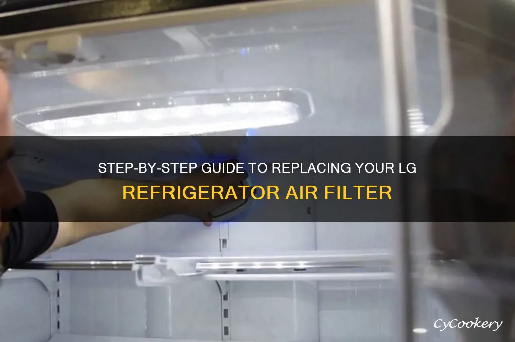 how to change air filter on lg refrigerator