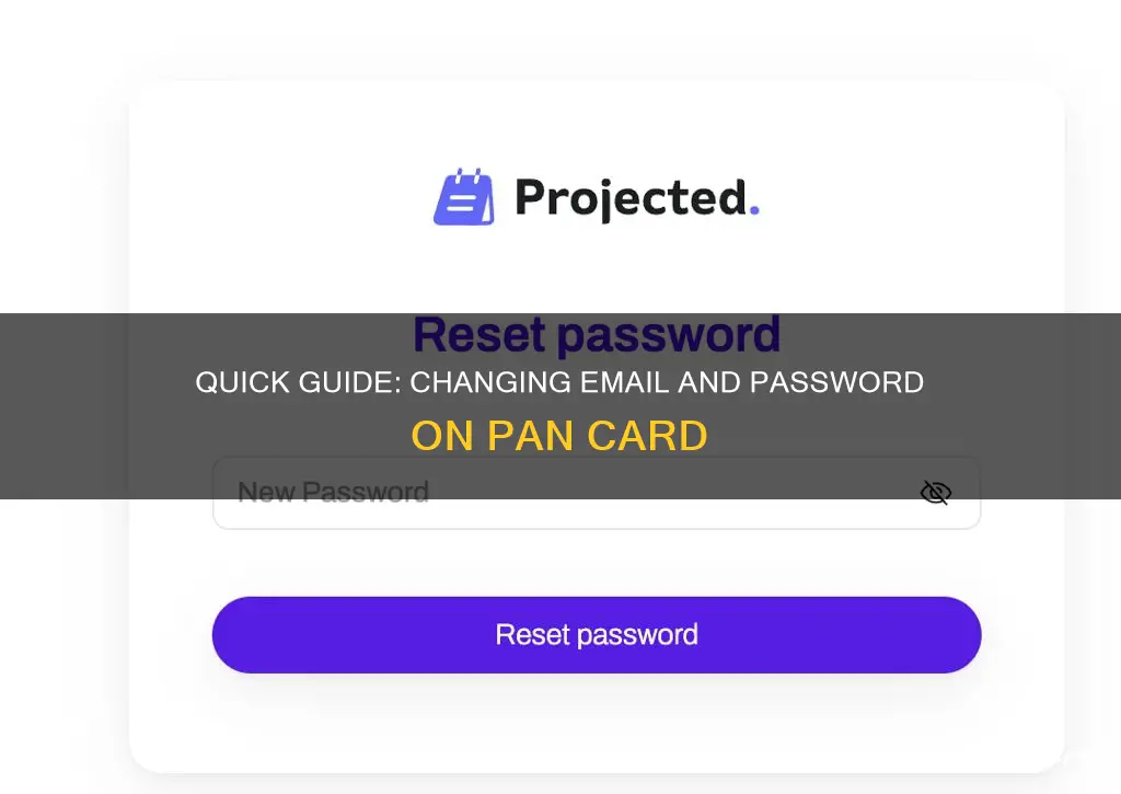 how to change email and password on pan