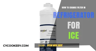 Chill Maintenance: A Simple Guide to Replacing Your Fridge's Ice Filter