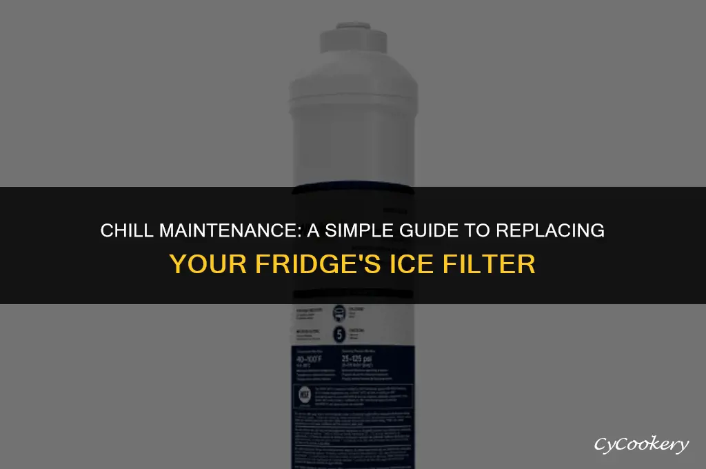 how to change filter in refrigerator for ice