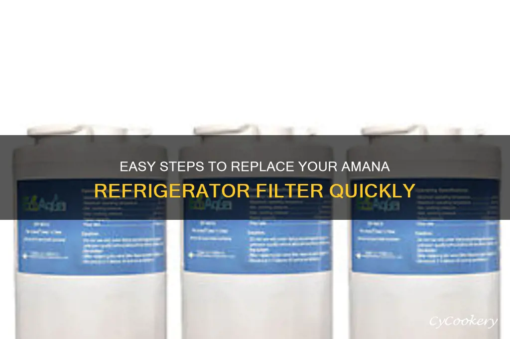 how to change filter on amana refrigerator