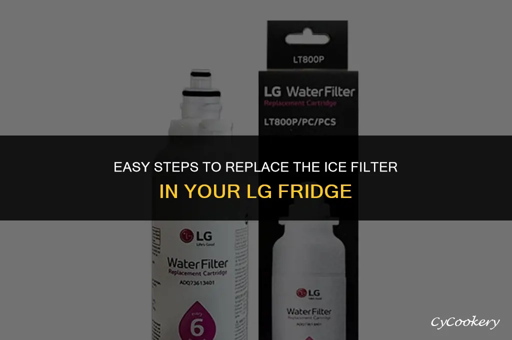 how to change ice filter on lg refrigerator