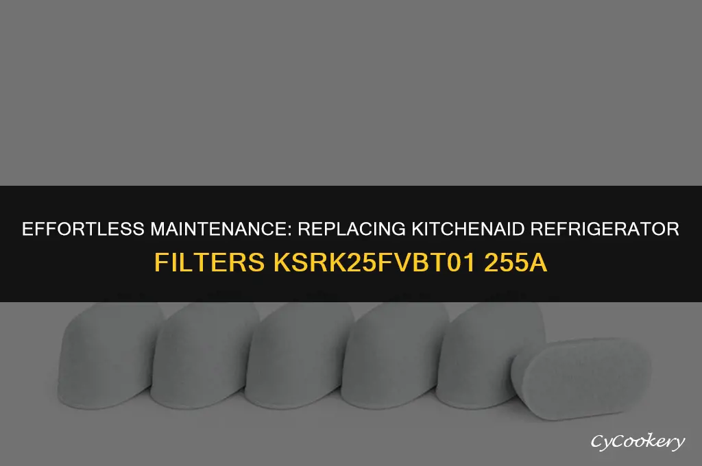 how to change kitchenaid refrigerator filters ksrk25fvbt01 255a