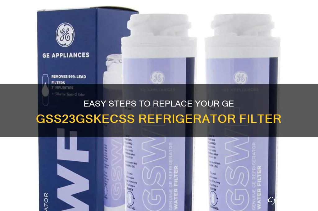 how to change my refrigerator filter gss23gskecss
