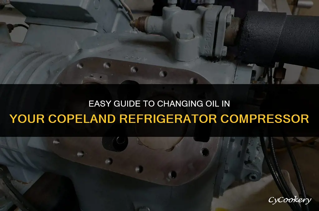 how to change oil in copland refrigerator compressor