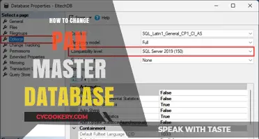 Updating the PAN Master Database: A Step-by-Step Guide