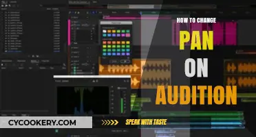 Adjusting Your PAN: Audition Tips for Beginners