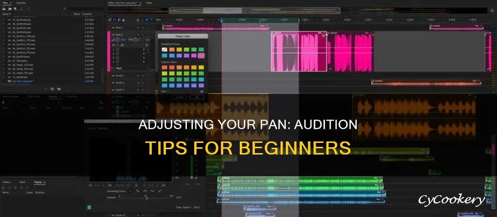 how to change pan on audition