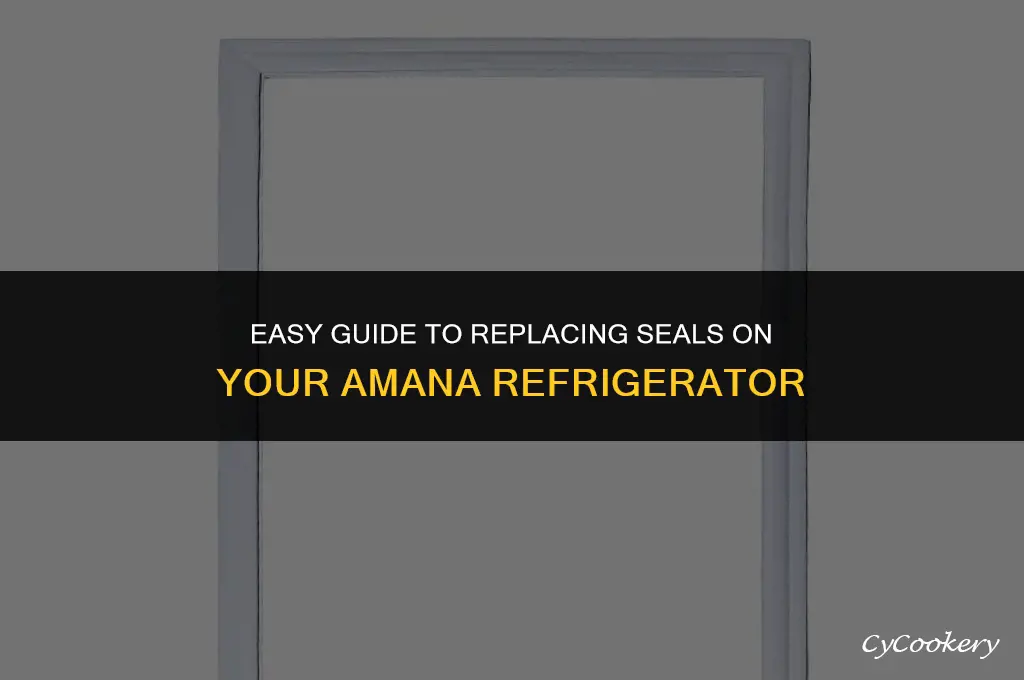 how to change the seals on an amana refrigerator