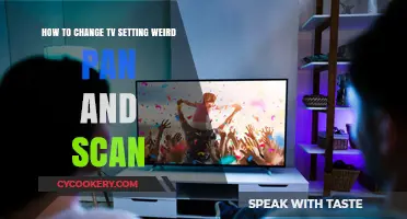 Adjusting TV Settings: Pan and Scan Weirdness
