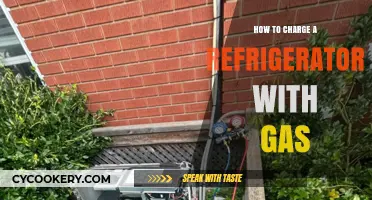 Step-by-Step Guide to Safely Charging Your Refrigerator with Gas