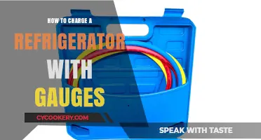 Step-by-Step Guide to Charging Your Refrigerator Using Pressure Gauges