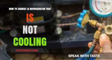 Revive Your LG Fridge: Troubleshooting Cooling Issues and Recharging Tips