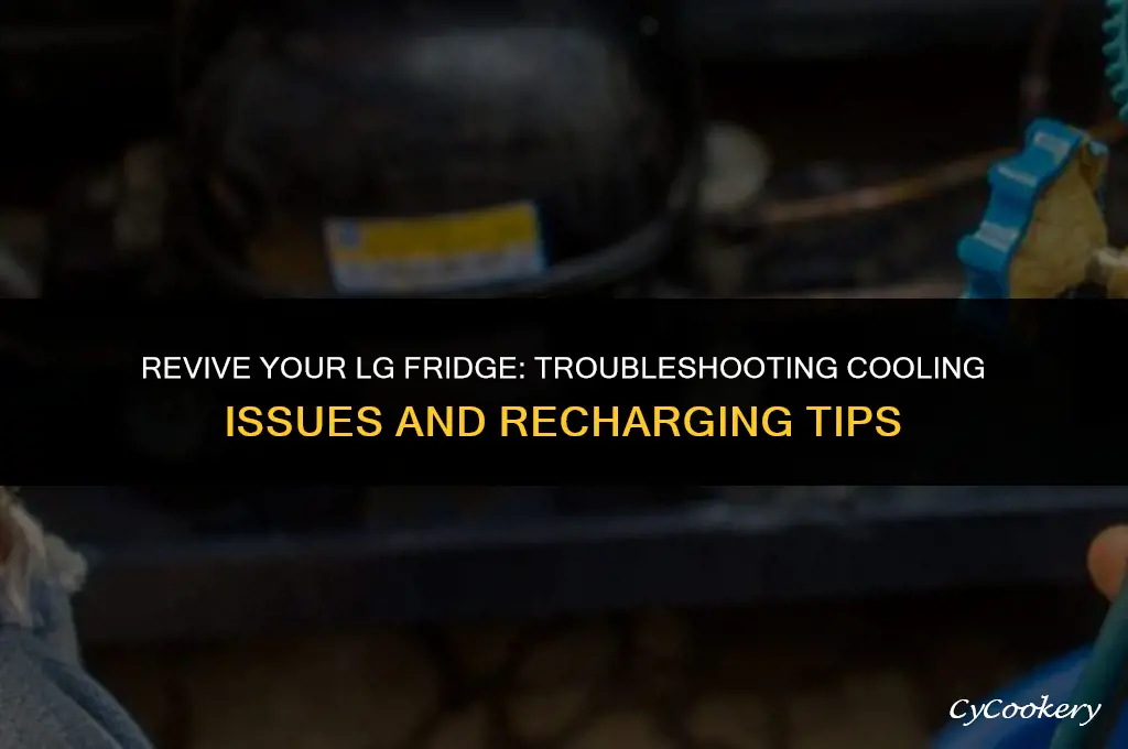 how to charge lg refrigerator that is not cooling