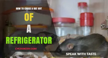 Chasing Away Unwanted Guests: A Guide to Rat-Proofing Your Fridge