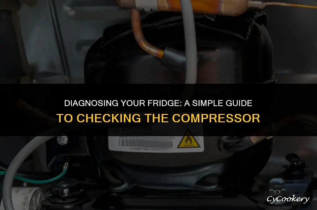 how to check a compressor in a refrigerator