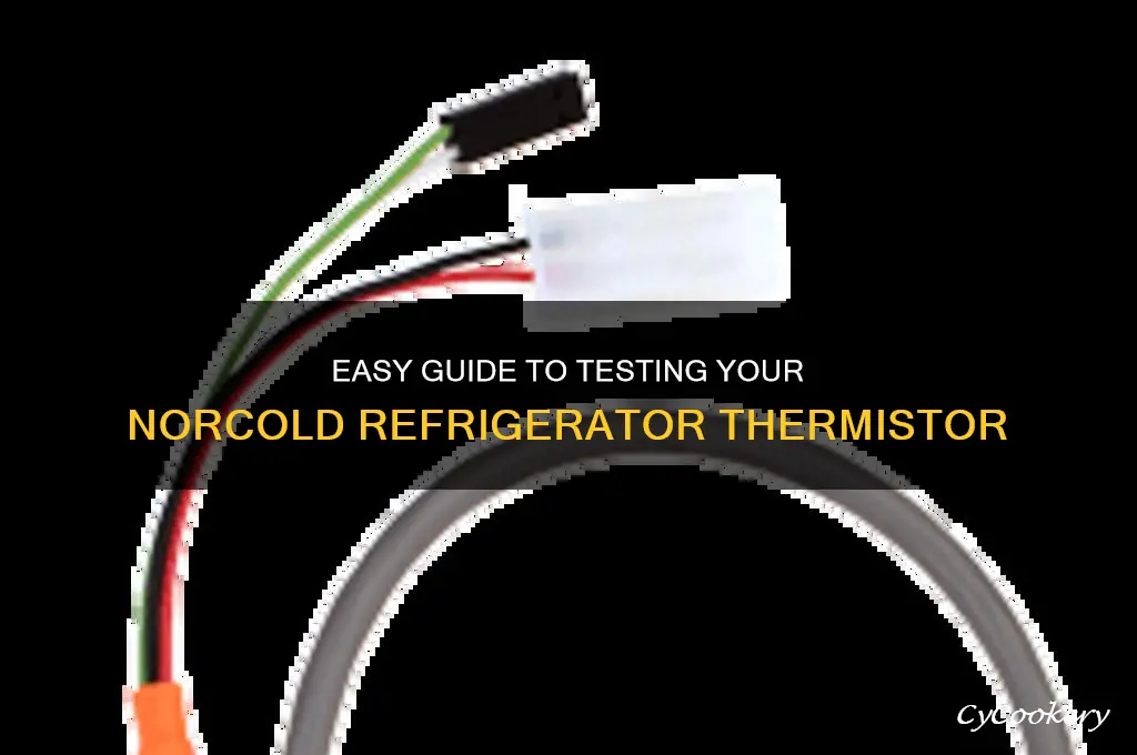 how to check a norcold refrigerator thermistor