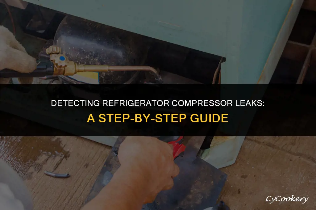 how to check a refrigerator compressor for leaks