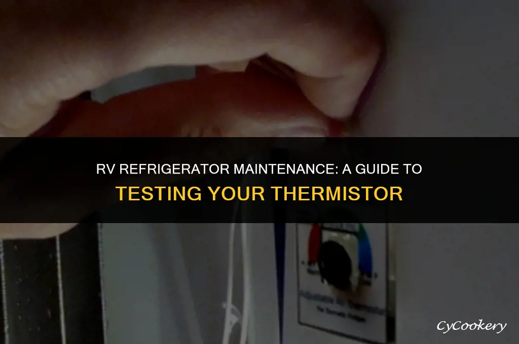 how to check a thermistor in an rv refrigerator