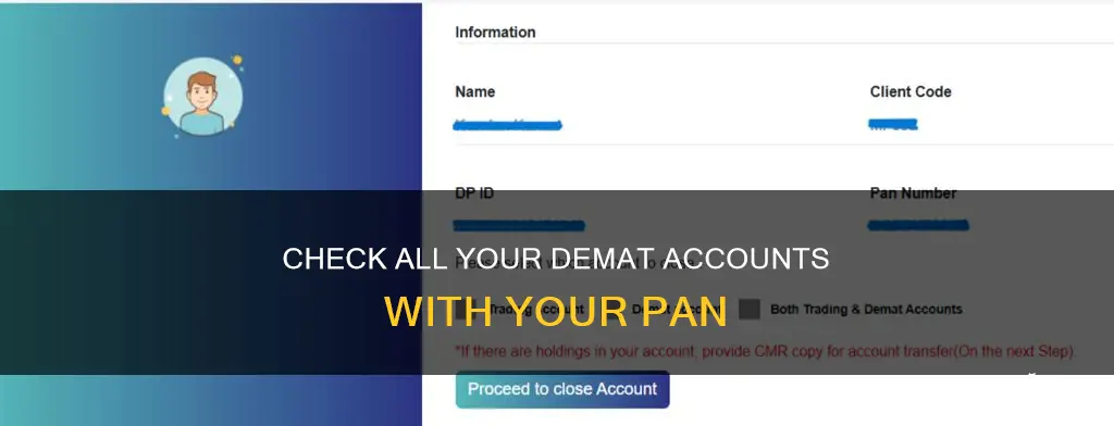 how to check all demat account with pan