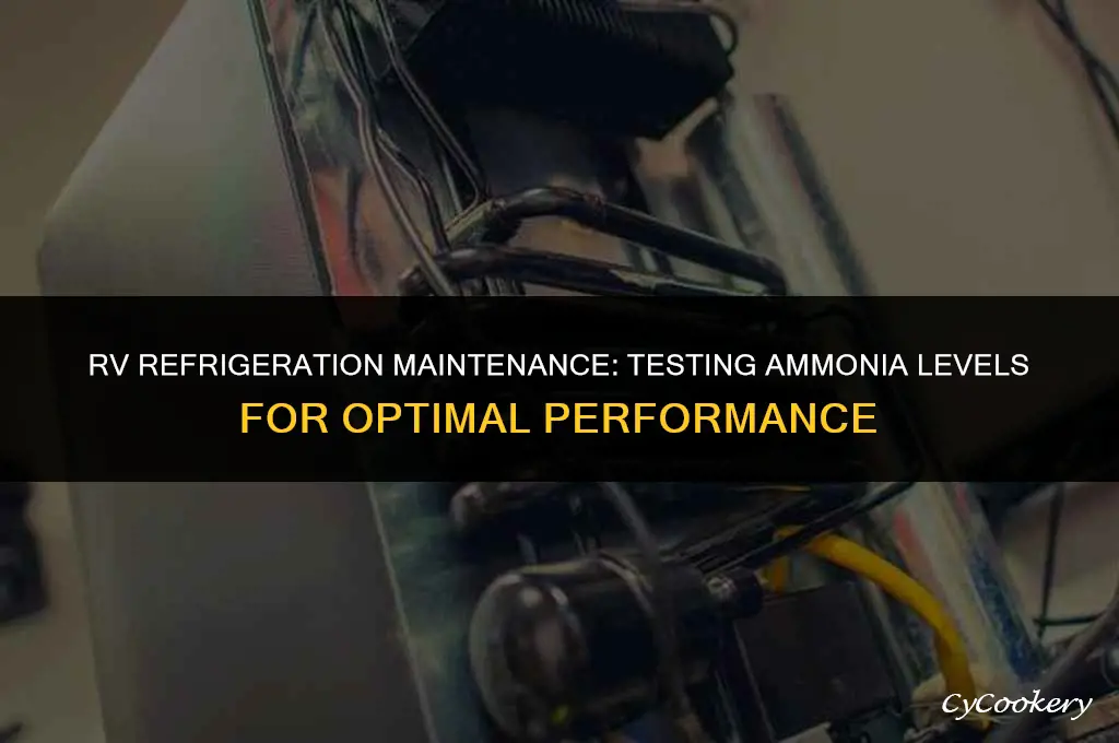 how to check ammonia in rv refrigeration works