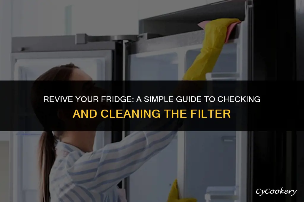 how to check and clean a refrigerator filter