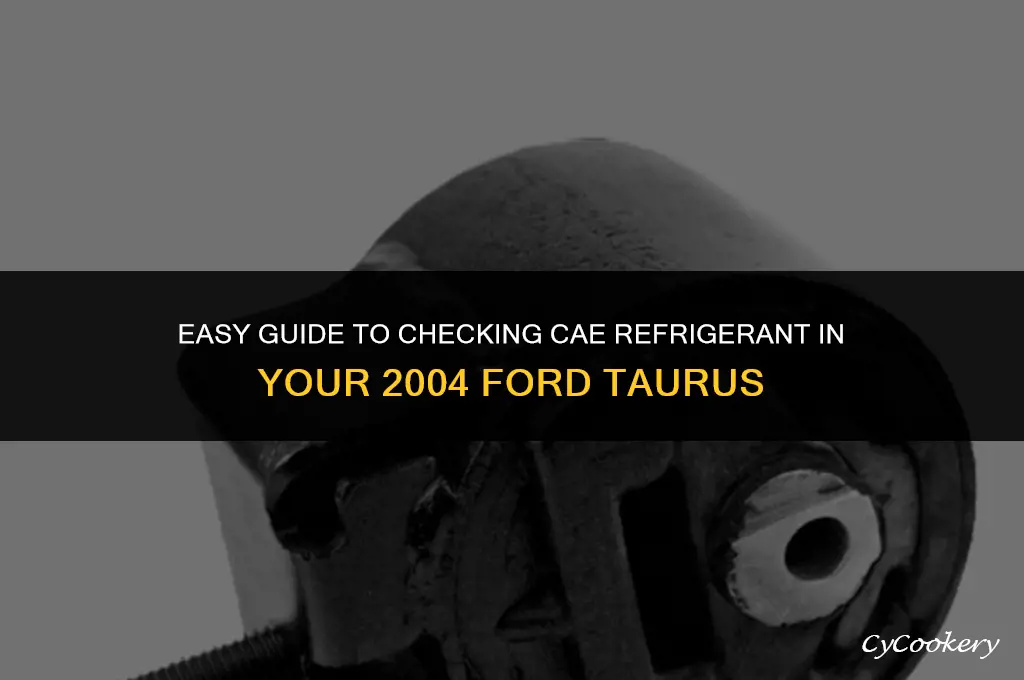 how to check cae refrigerant in 04 ford taurus