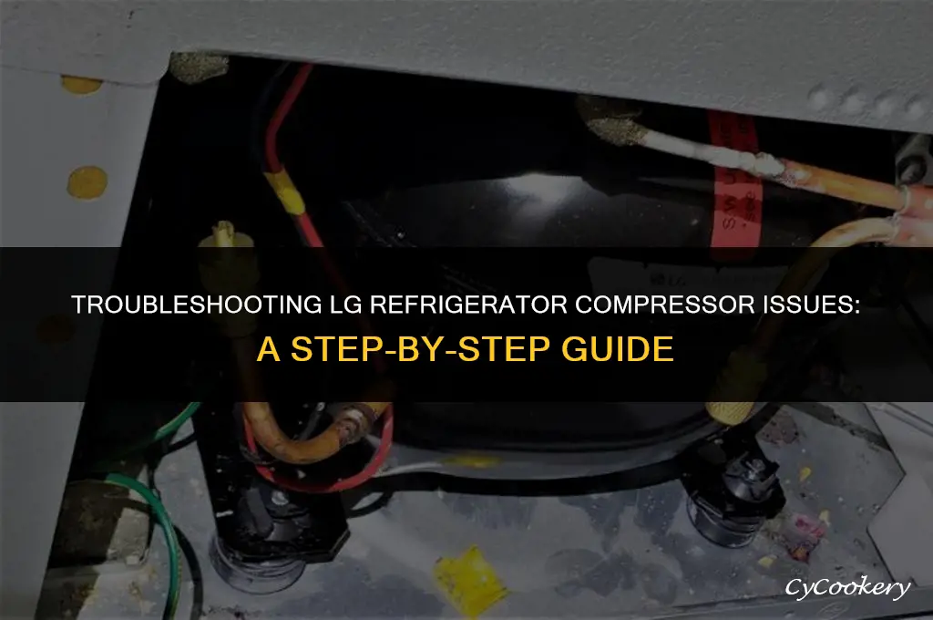 how to check compressor on l g refrigerator problems