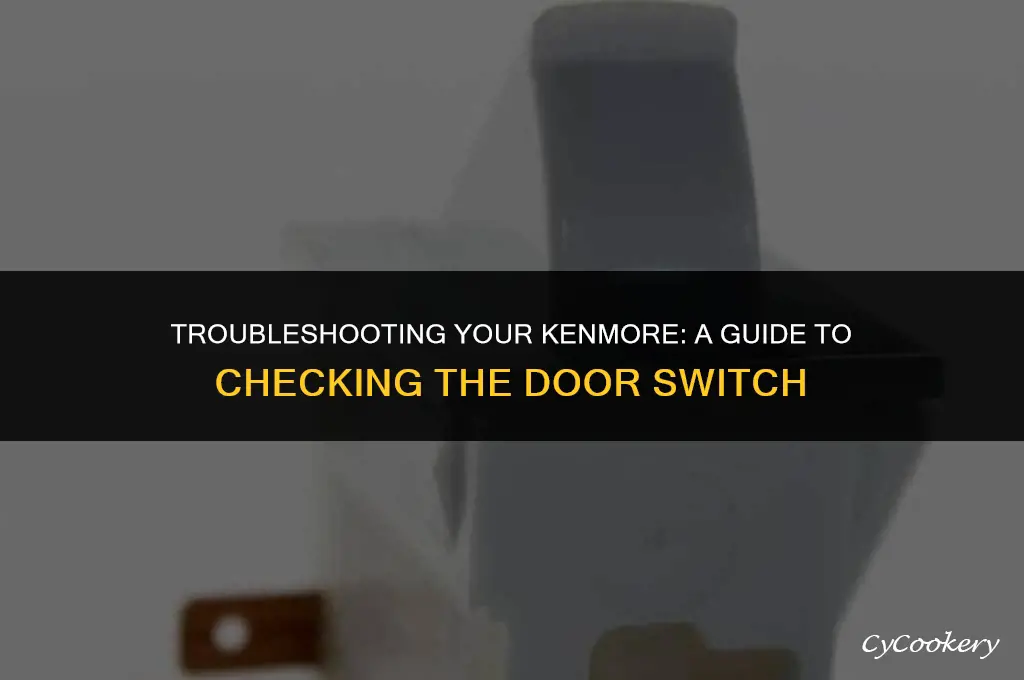 how to check door switch on kenmore refrigerator