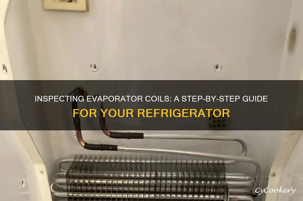 how to check evaporator coils on refrigerator