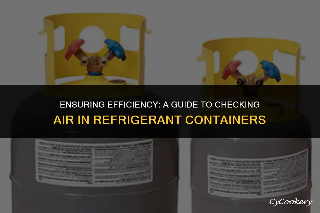 how to check for air in refrigerant container