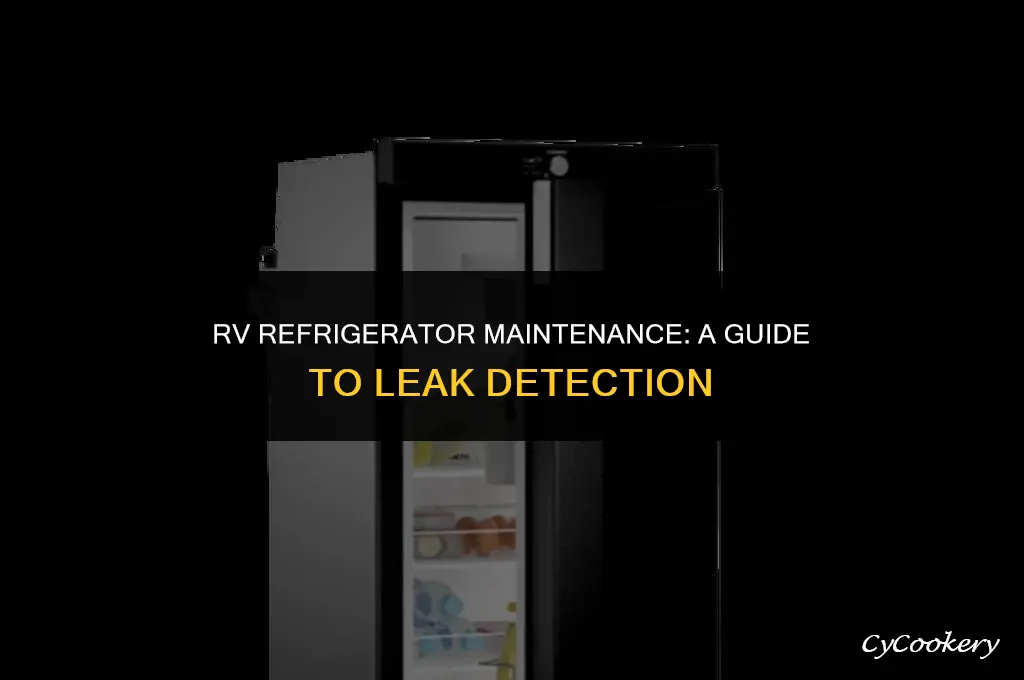 how to check for leakage on your rv refrigerator