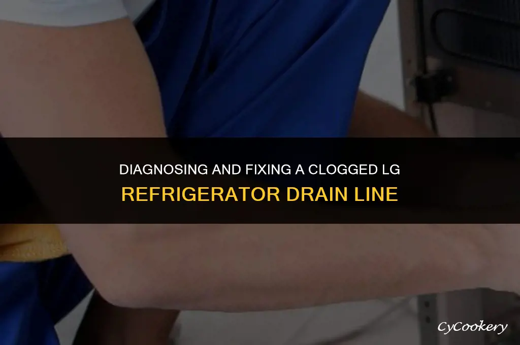 how to check for lg refrigerator drain line clog
