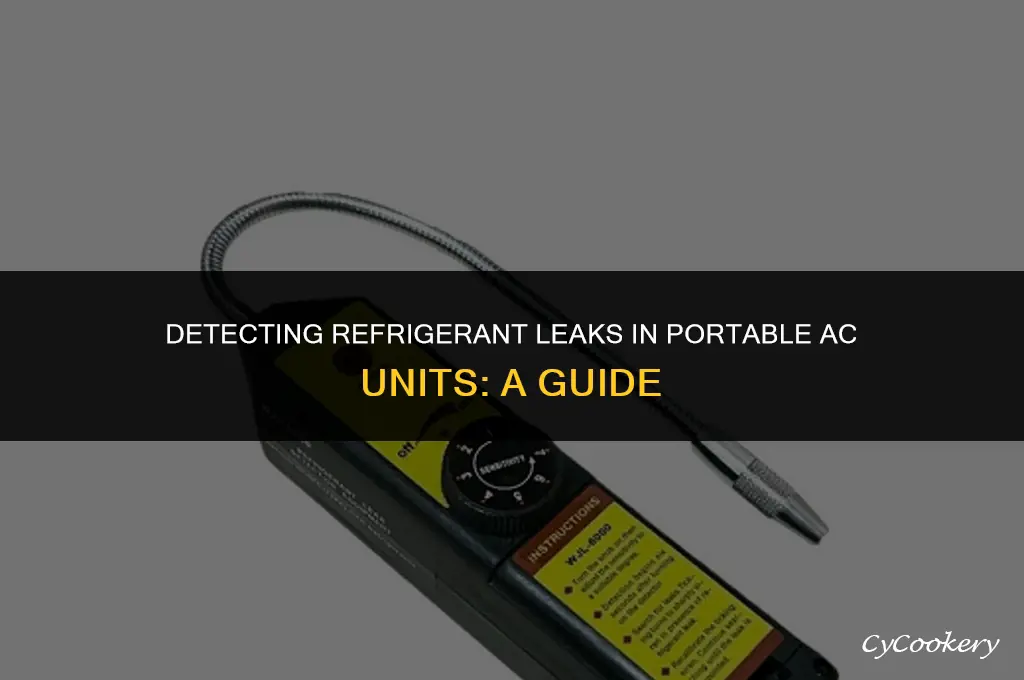how to check for refrigerant leak from portable ac