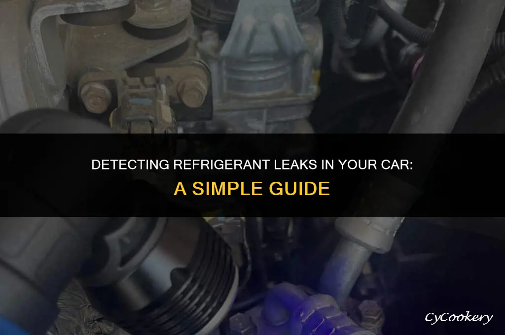 how to check for refrigerant leak in car