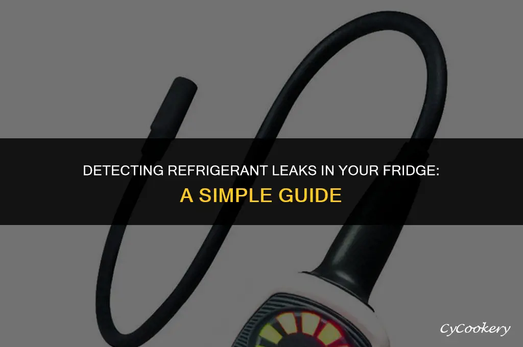 how to check for refrigerant leak in fridge