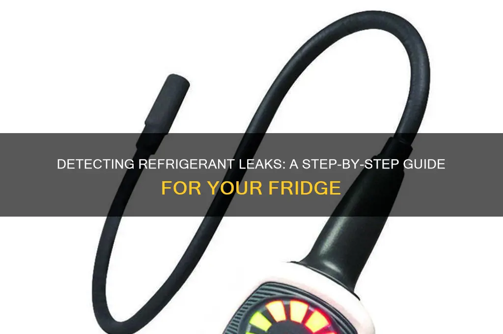 how to check for refrigerant leak refrigerator
