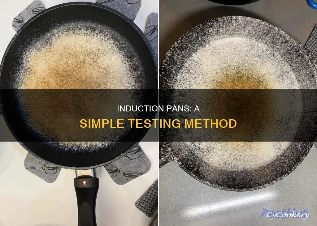 how to check if a pan is induction