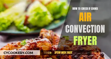 Mastering the Art of Convection: Tips to Check Your Air Fryer's Performance