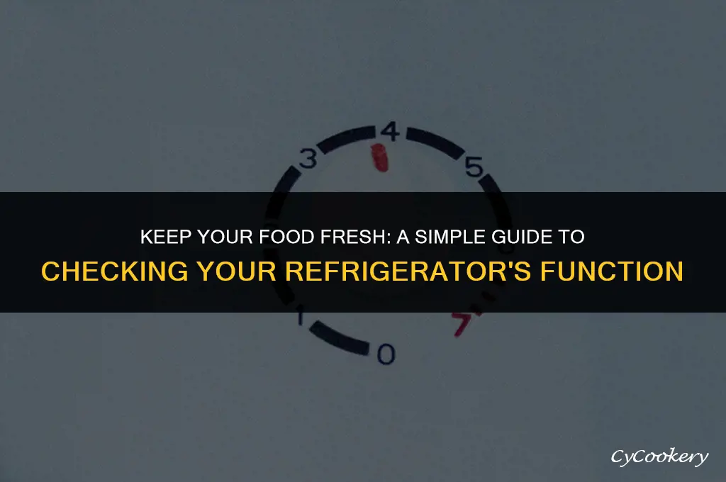 how to check if my refrigerator is working