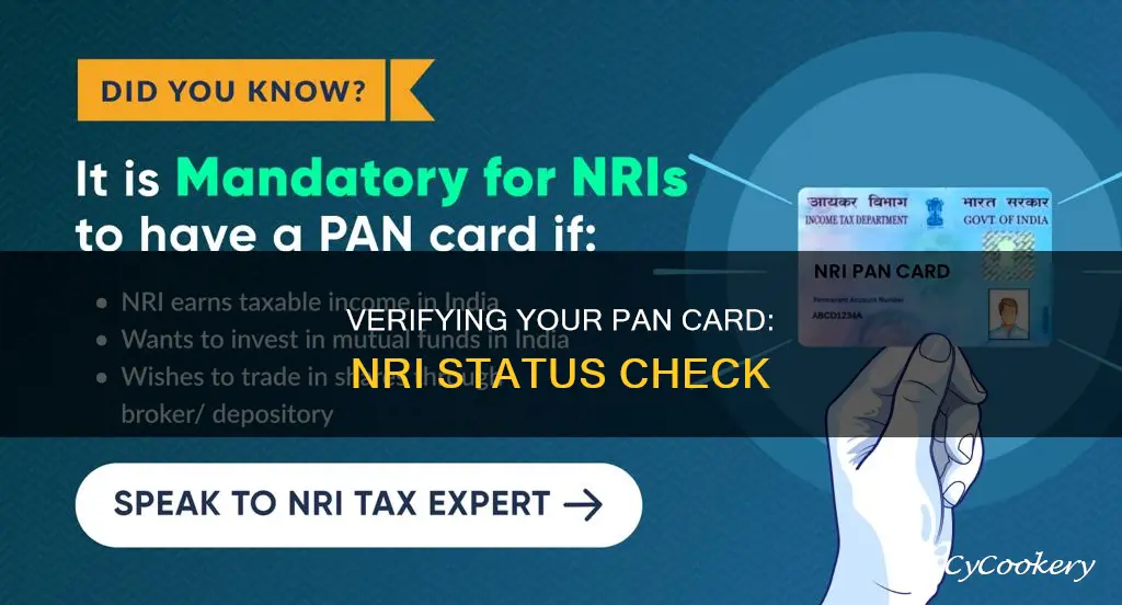 how to check if pan is nri or not